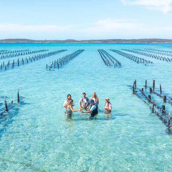 Coffin Bay: Full-Day Oysters, Ocean & Nature Tour with Tastings & Return Transfers  4