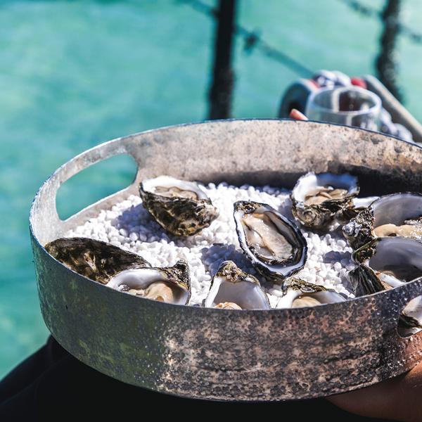 South Australia Gourmet Tour with Oyster Shucking & Wine Tasting by Luxury Escapes Tours 4