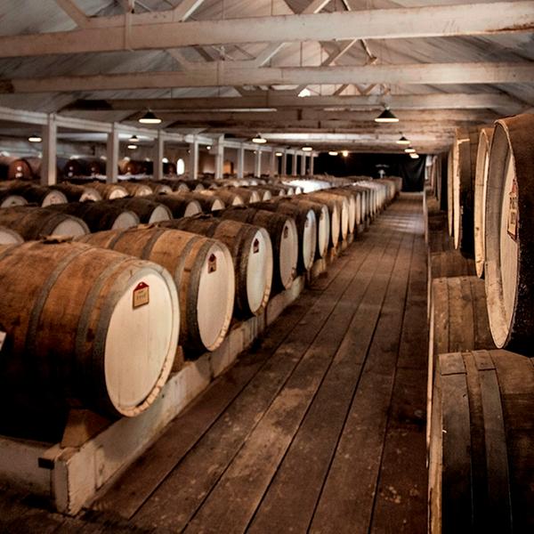 Taste Your Birth Year at Iconic Estate Seppeltsfield Winery with Centennial Cellar Tour 3