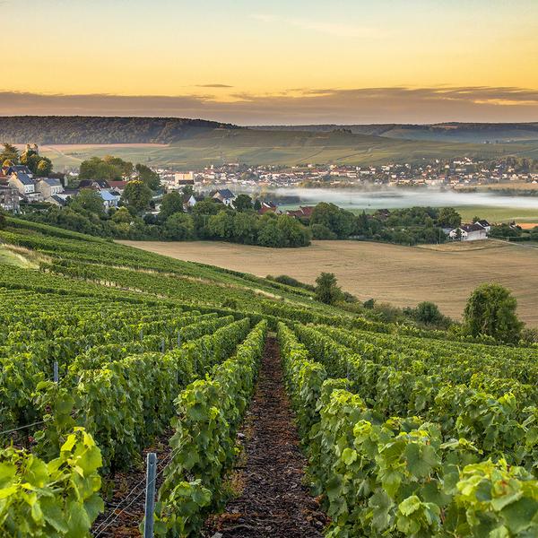 Europe by Private Charter Flight: Luxury Escapes Exclusive 19-Day Tour with 6 Bucket-List Countries by  4