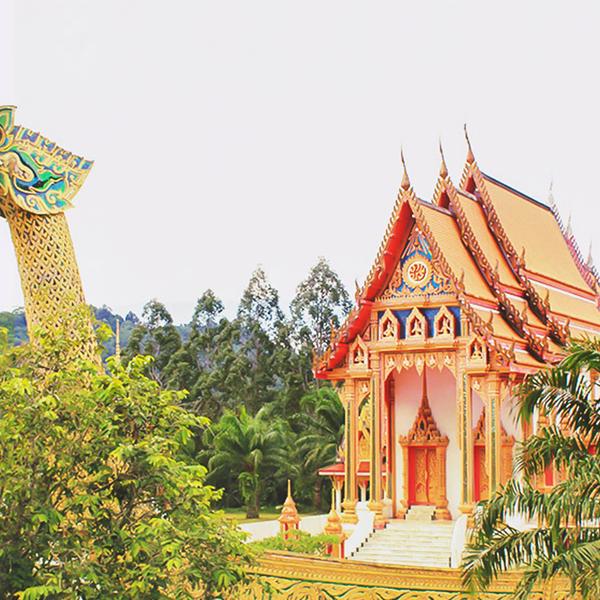 Khao Lak: Discover the Tranquil Beauty of Buddhist Architecture on an Awe-Inspiring Three Temples Private Guided Tour 8