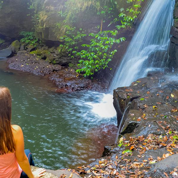 Gold Coast: Explore the Gold Coast's Lush Hinterland with a Full-Day Explorer Pass 1