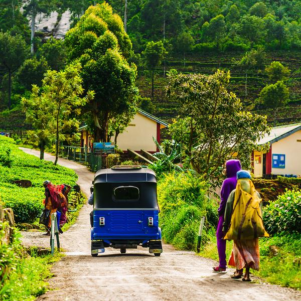 Sri Lanka Bike Tour with Scenic Train Journey & Yala National Park Safari by Luxury Escapes Trusted Partner Tours 7