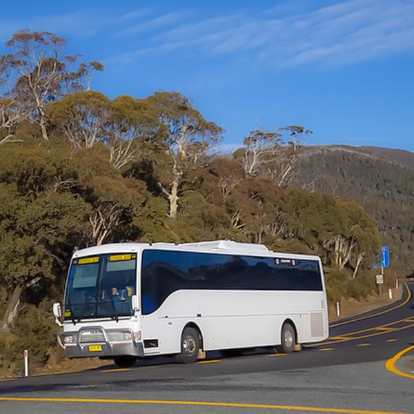 Canberra: Explore the Snowy Mountains on a Full-Day Snow Trip with Bus Transfers to Bullocks Flat Skitube & Thredbo 2