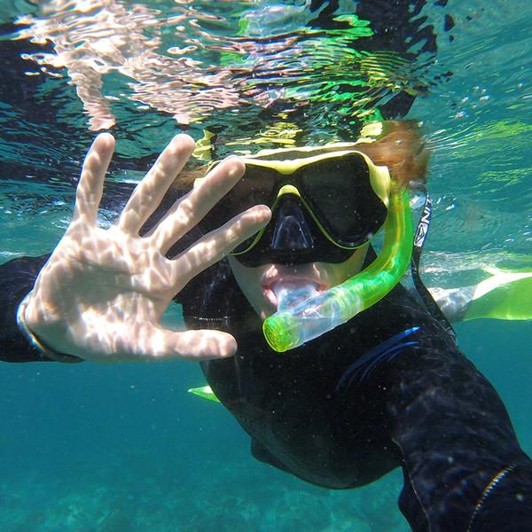 2.5-Hour Manly Snorkel & Headland Walk Eco Tour 1