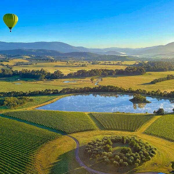 Yarra Valley: Award-Winning Sunrise Hot Air Balloon Flight with Complimentary In-flight Photos 3