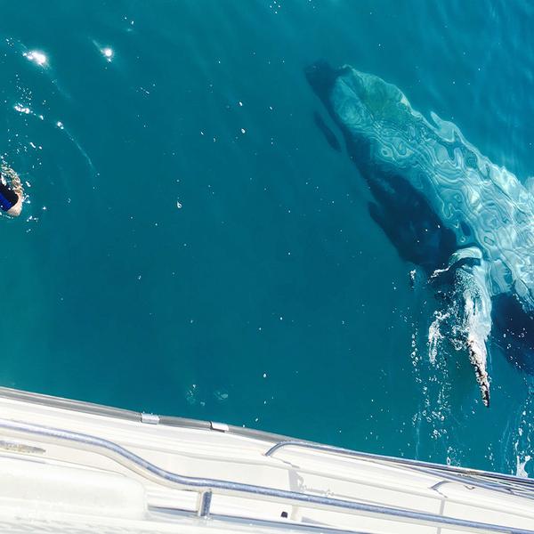 Full-Day K'gari (Fraser Island) Cruise with Return Hotel Transfers & Buffet Lunch  6