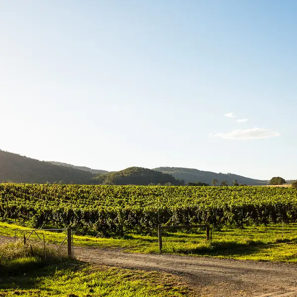 Dal Zotto Homestead and Petite Retreats, Whitfield, Victoria 5