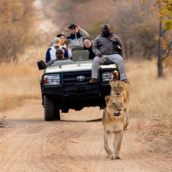 South Africa with Five-Star Kruger Safari Lodge & Garden Route Discovery by Luxury Escapes Tours 2