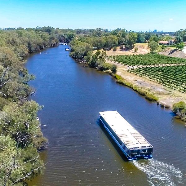 Full-Day Swan Valley Gourmet Wine Cruise with Welcome Drink & Platter Lunch 5