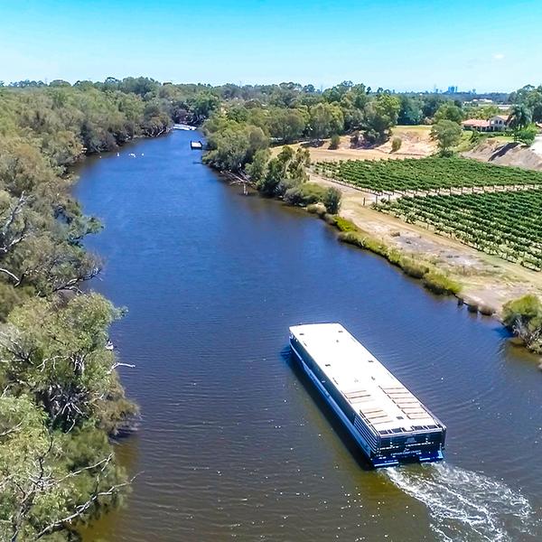 Perth: Full-Day Swan Valley Gourmet Wine Cruise with Welcome Drink & Platter Lunch 5