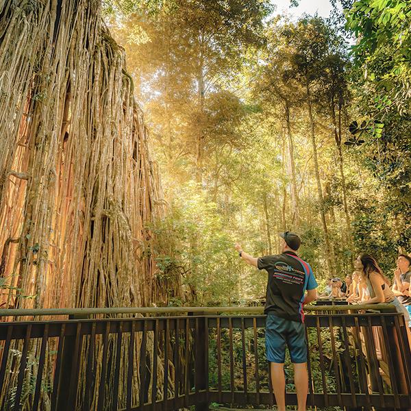 Full-Day Waterfalls Tour with Lunch, Snacks & Return Transfers 4