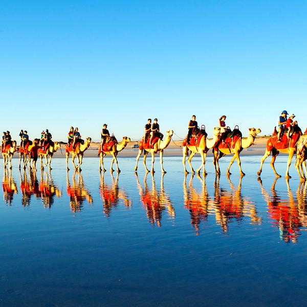 Broome: One-Hour Sunset Camel Tour on Cable Beach 7