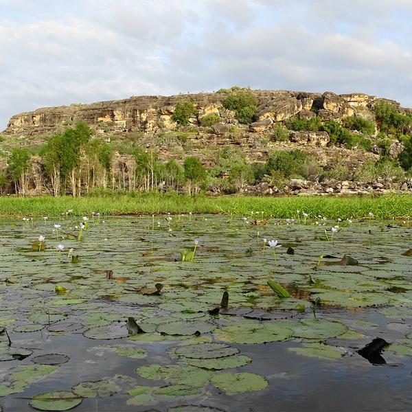 Arnhem Land & Tiwi Islands Outback Adventure with Safari Lodge Stay, Wildlife Viewing & Sunset Cruise by Luxury Escapes Tours 7