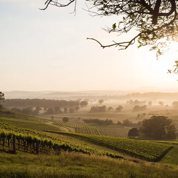 Château Élan at The Vintage, Hunter Valley, New South Wales 4