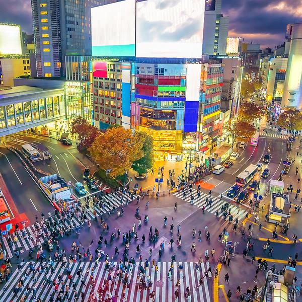 Limited Time Offer: Deluxe 7-Day Japan Highlights 2026 with Tokyo, Kyoto & Osaka (No Solo Traveller Surcharge) by  6