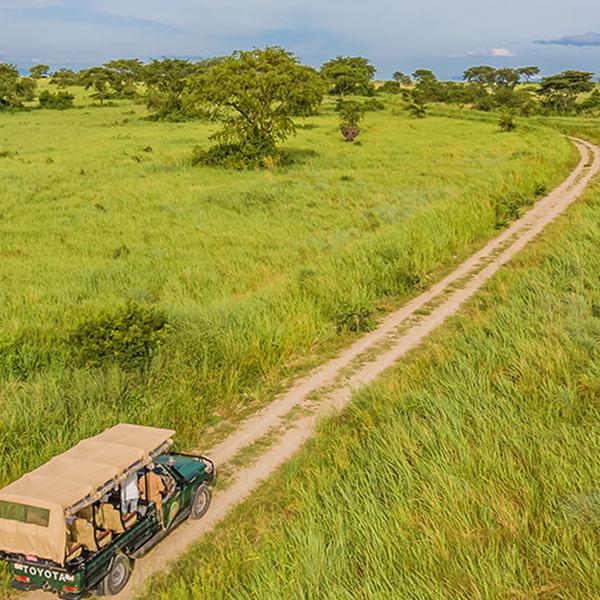 Uganda 2024 Small-Group Safari with Gorilla & Chimpanzee Trekking, Game Drives & Lake Victoria Cruise by Luxury Escapes Tours 8