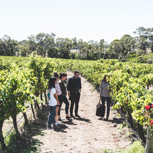 Margaret River: Experience a Voyager Estate Tour, Wine Tasting & Seasonal Lunch at 5 Red Star Rated James Halliday Vineyard 5