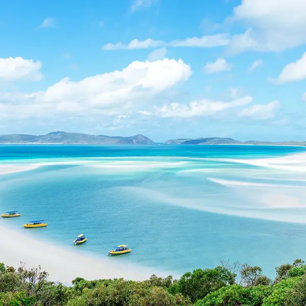 Palm Bungalows, Hamilton Island, Queensland 7