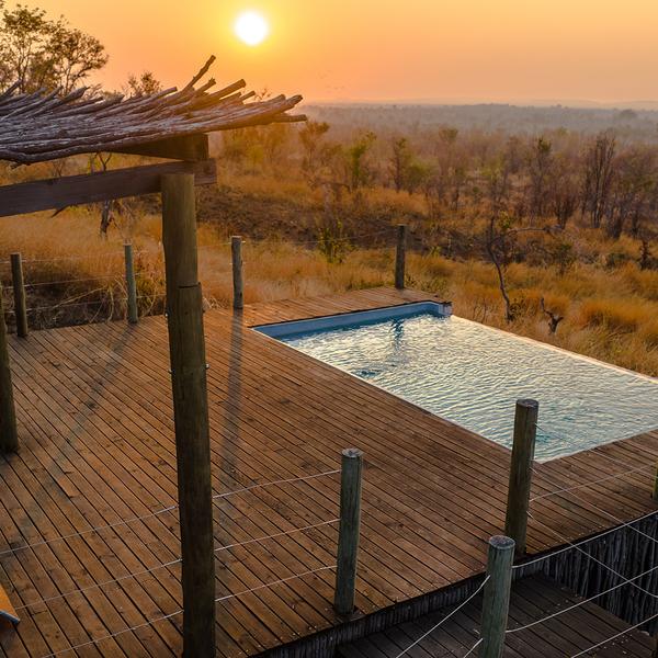 Extended by Popular Demand: 12-Day South Africa Iconic Blue Train Journey + 2-Night All-Inclusive Hwange Safari Stay by  8