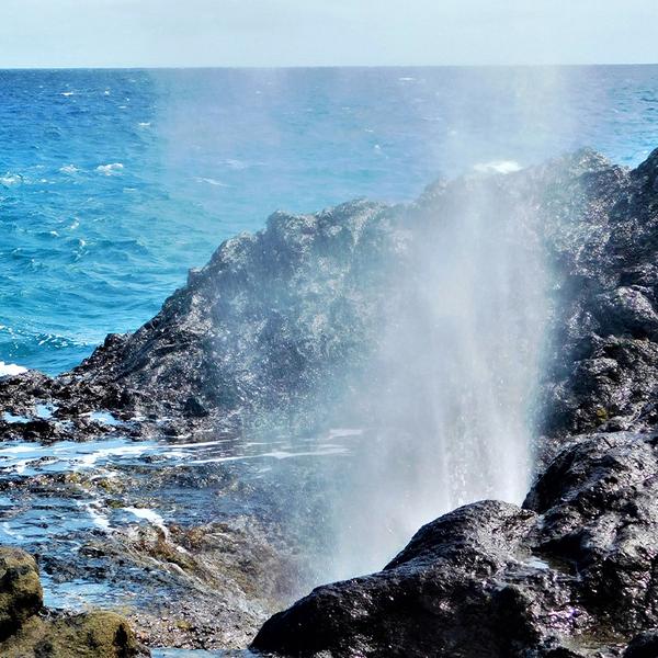 O'ahu: See the Food & Beauty of O'ahu on a Full-Day Ultimate Circle Island Tour with Breakfast & Lunch 6