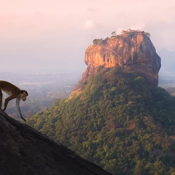 Deluxe 12-Day Best of Sri Lanka 2026 with Dambulla, Kandy & Five-Star Galle Stay by  3