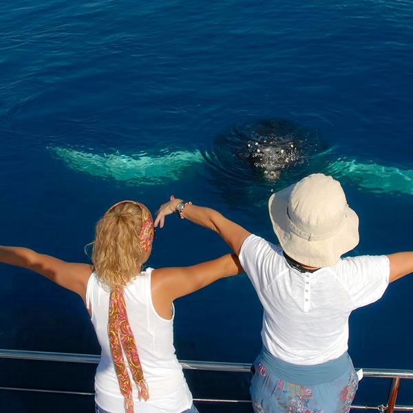 Eight-Hour Guided Whale Watching Experience with Buffet Lunch 3