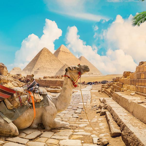 Deluxe 14-Day Egypt & Jordan Discovery 2026 with Dead Sea, Petra & Wadi Rum by  1