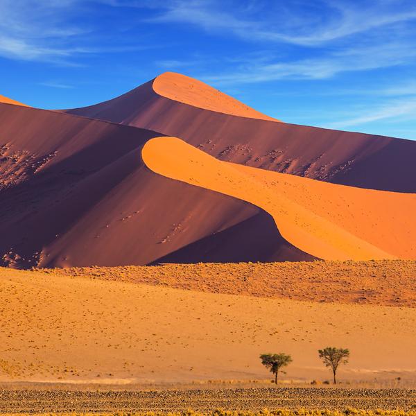 Namibia Small-Group Safari with Luxury Lodges, Etosha Heights Private Reserve, Wildlife Drives & Sossusvlei Dune Stay by Luxury Escapes Tours 8