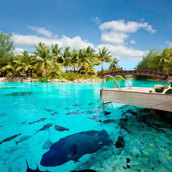 The St. Regis Bora Bora Resort, Bora Bora, French Polynesia 8