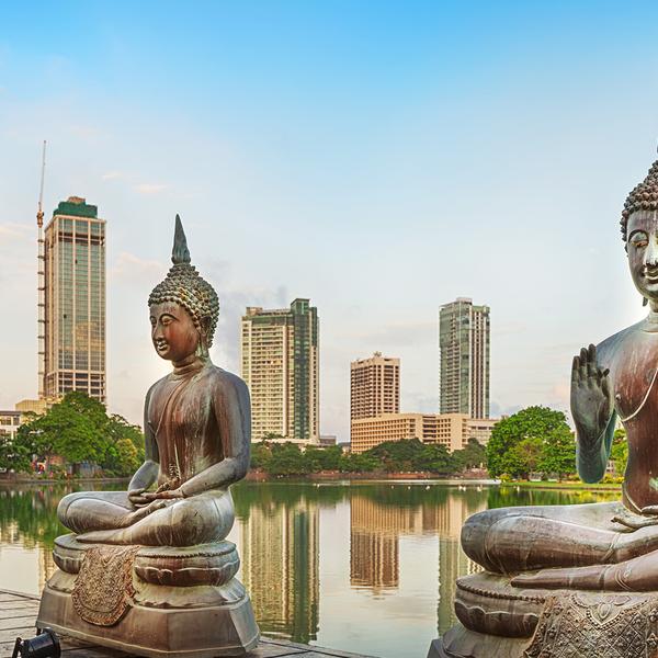  Premium 10-Day Sri Lanka Highlights with Kandy, Ella & Galle by  8