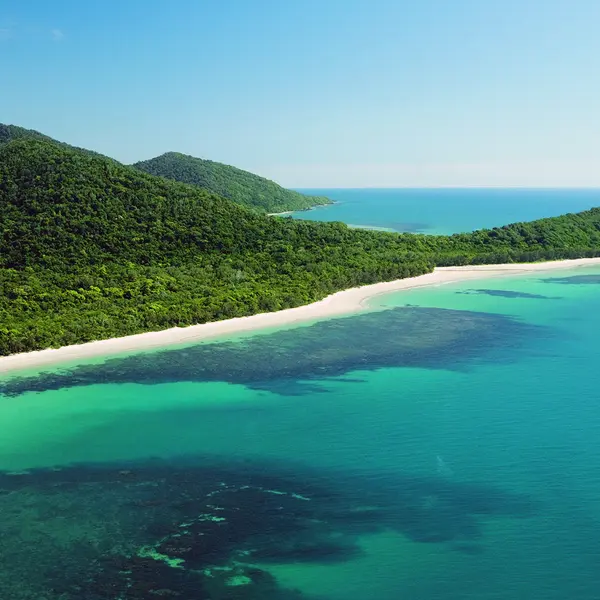 mist at Cape Tribulation, Daintree Rainforest, Queensland 1