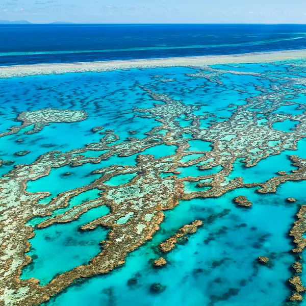 Pullman Palm Cove Sea Temple Resort & Spa, Palm Cove, Queensland 5