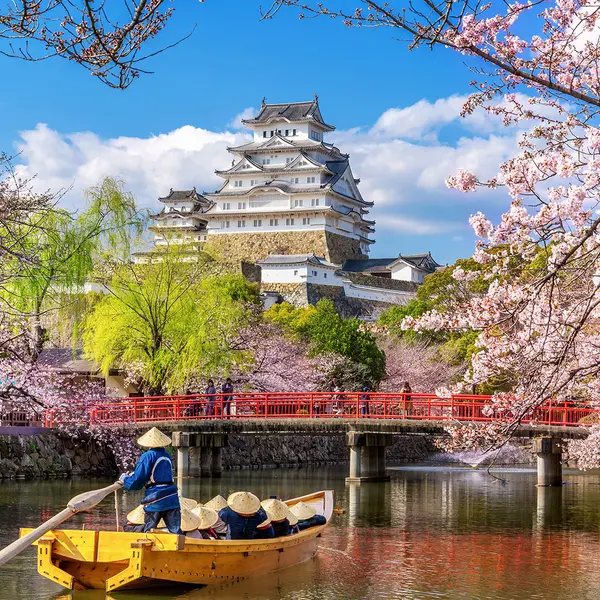 Japan & South Korea, Trusted Partner Cruises – Japan & South Korea,  8