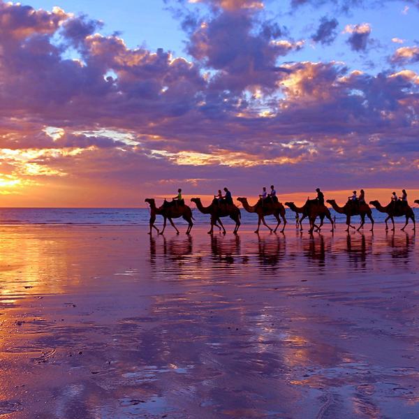 Broome: One-Hour Sunset Camel Tour on Cable Beach 3