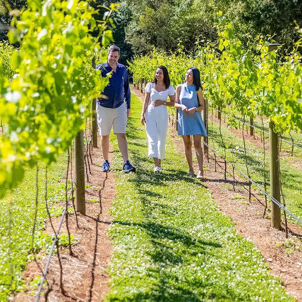 Full-Day Mount Tamborine Winery Tour to Four Venues with Two-Course Lunch & Return Transfers 1