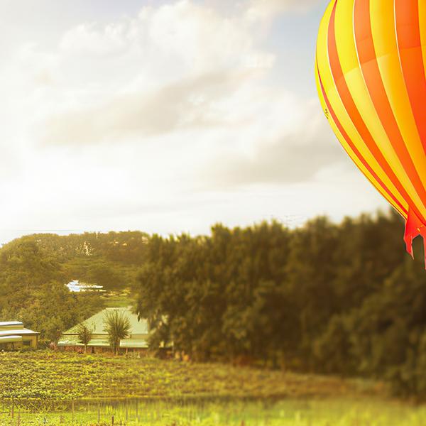 Six-Hour Gold Coast Ballooning Adventure with Glass of Sparkling Wine & Return Transfers 8