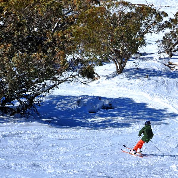 Full-Day Tour to Mount Buller Snow Slopes with Discounted Hire 4