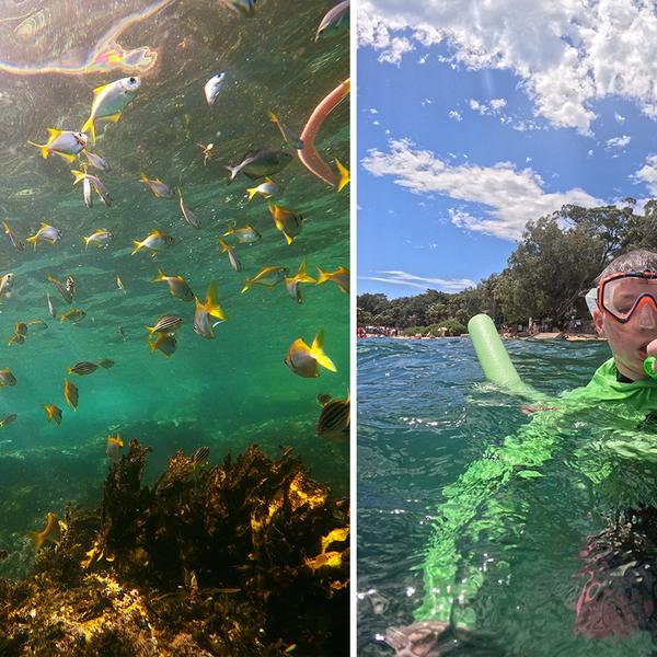 2.5-Hour Manly Snorkel & Headland Walk Eco Tour 5