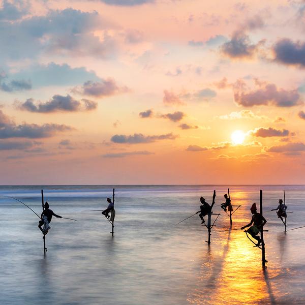  Premium 10-Day Sri Lanka Highlights with Kandy, Ella & Galle by  5