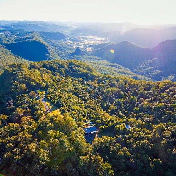 Explore the Gold Coast's Lush Hinterland with a Full-Day Explorer Pass 6