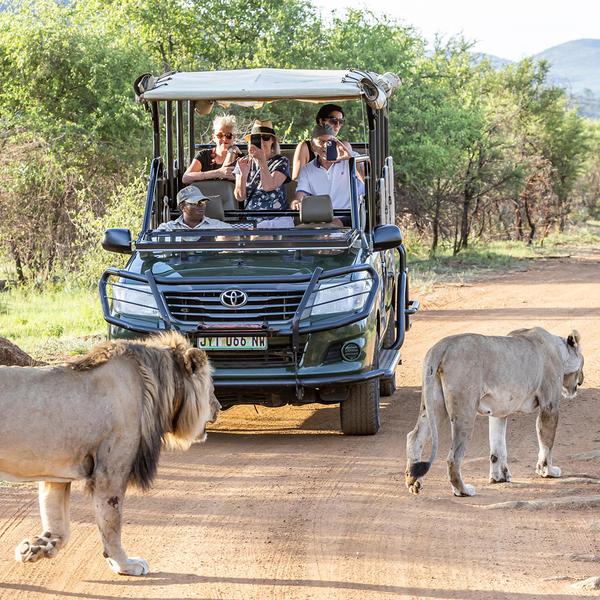 Limited Time Offer: Private 15-Day South Africa, Zimbabwe & Botswana Tour with BONUS Victoria Falls Helicopter Flight by  6