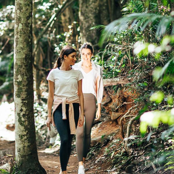 Full-Day Tastes of Tamborine Mountain Guided Tour with Lunch, Distillery Tour & Tasting 2