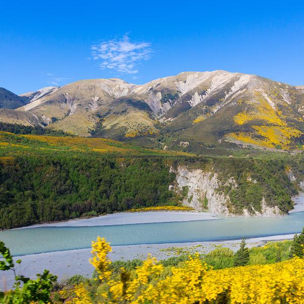 New Zealand South Island 9-Day Highlights with TranzAlpine Scenic Train Ride & Doubtful Sound Cruise by  5