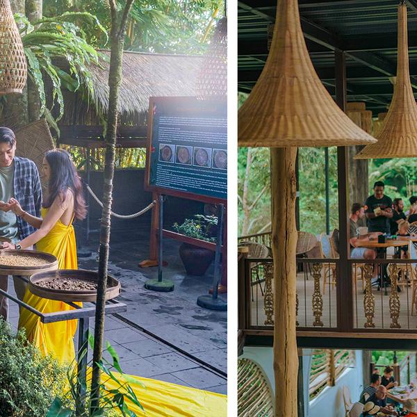 Bali: Full-Day Tegalalang Adventure with Coffee Tour, Ziplining, Jungle Swing & Lunch 4