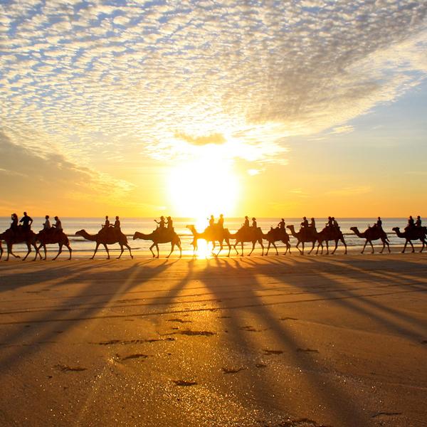Broome: One-Hour Sunset Camel Tour on Cable Beach 5