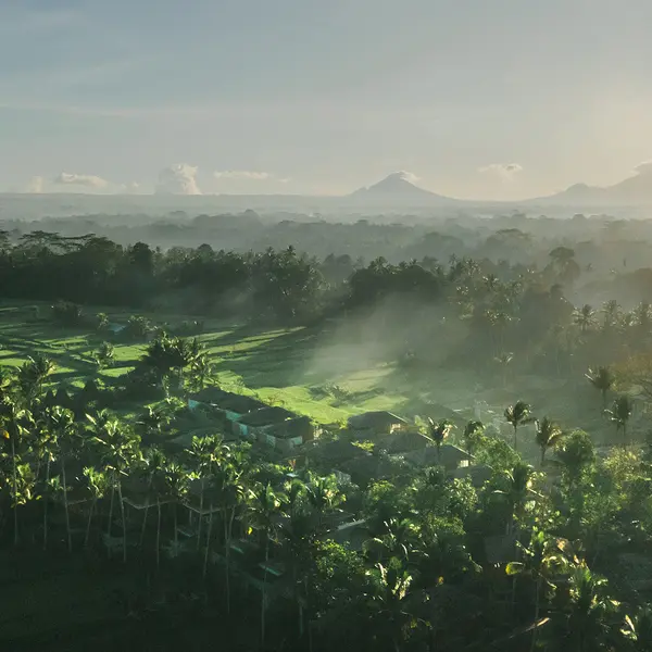 Kappa Senses Ubud, Ubud, Bali 2