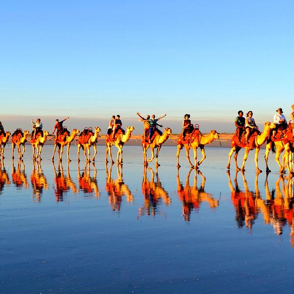 Broome: One-Hour Sunset Camel Tour on Cable Beach 4