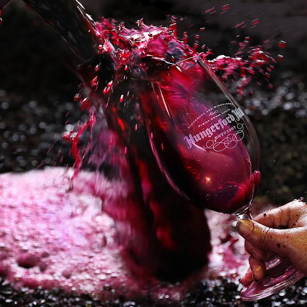 Hungerford Hill Cellar-Door Tasting with Chef-Hatted Mini-Degustation 4