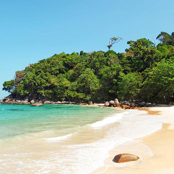 Khao Lak: Full-Day Highlights Tour & Turtle Sanctuary Visit with Lunch & Return Hotel Transfers 4